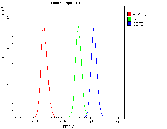 a01007 1 cbfb primary antibodies fc testing 6