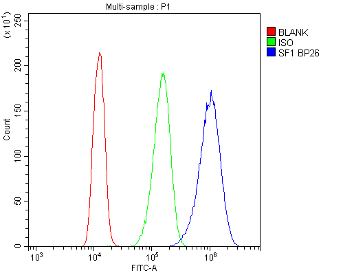 a01009 splicing_factor_1 primary antibodies fcm testing 9