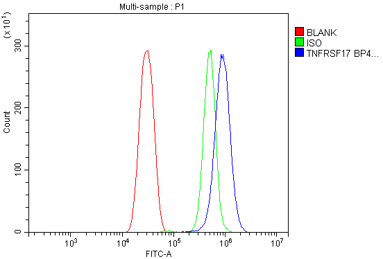 a01014 4 tnfrsf17 primary antibodies fcm testing 2
