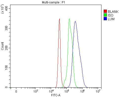 a01034 2 lum primary antibodies fcm testing 6