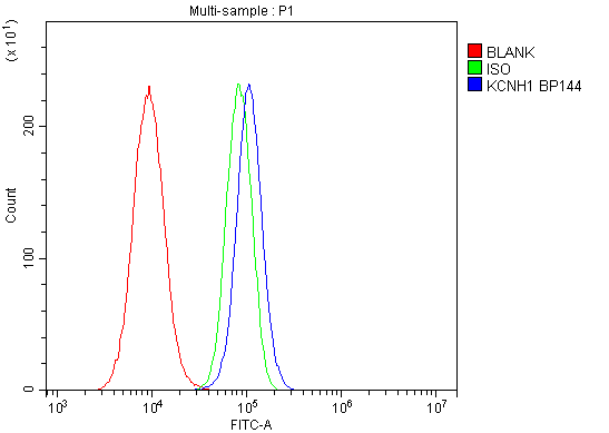 a01036 3 kcnh1 primary antibodies fcm testing 3