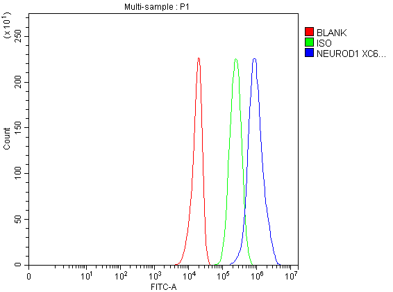 Flow Cytometry analysis of U251 cells using anti-NEUROD1 antibody (A01038-2)