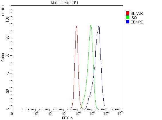  Flow Cytometry analysis of CACO-2 cells using anti-EDNRB antibody (A01041)