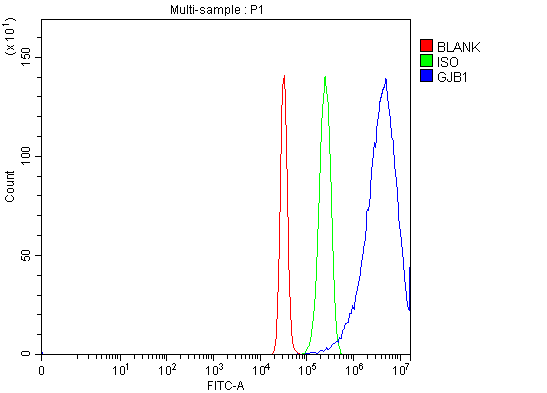  Flow Cytometry analysis of HepG2 cells using anti-Connexin-32/GJB1 antibody (A01050)