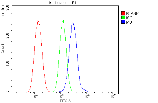 a01065 mut primary antibodies fcm testing 1_1