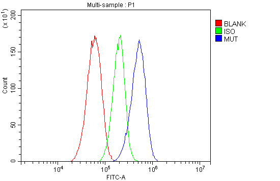 a01065 mut primary antibodies fcm testing 2_1