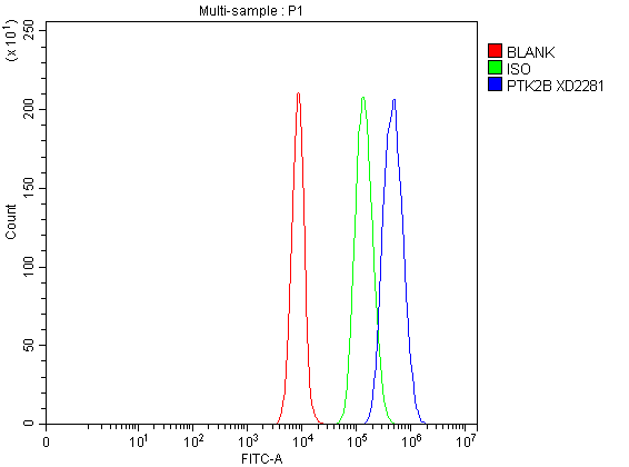 a01066 1 ptk2b primary antibodies fcm testing 4