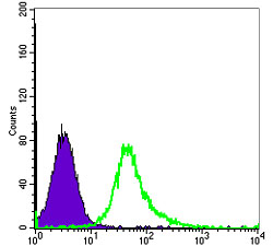 Flow cytometric analysis of Hela cells using ACTA2 Monoclonal Antibody (green) and negative control (purple)