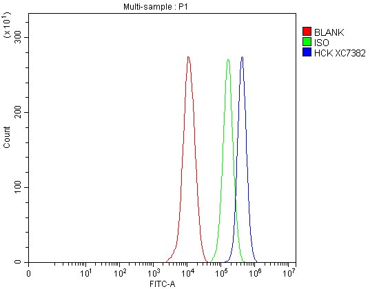 Flow Cytometry analysis of THP-1 cells using anti-HCK antibody (A01073-3)