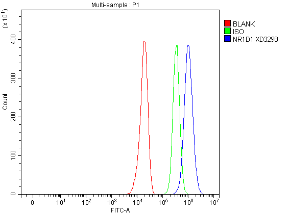 a01077 2 nr1d1 primary antibodies fcm testing 1