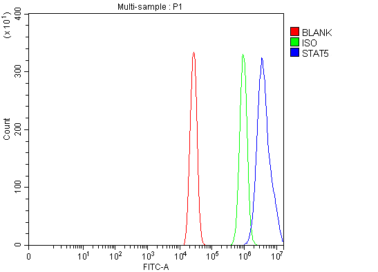 a01087 2 stat5ab primary antibodies fcm testing 3