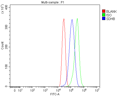 a01090 sdhb primary antibodies fcm testing 1