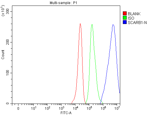 Flow Cytometry analysis of HepG2 cells using anti-SCARB1 antibody (A01093-1)