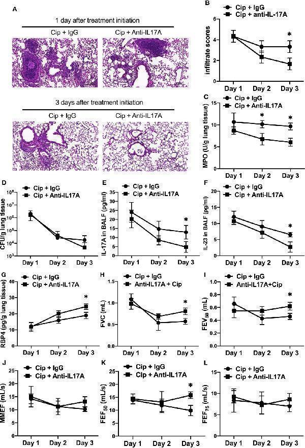 a01097 1 fimmu 12 811803 g007