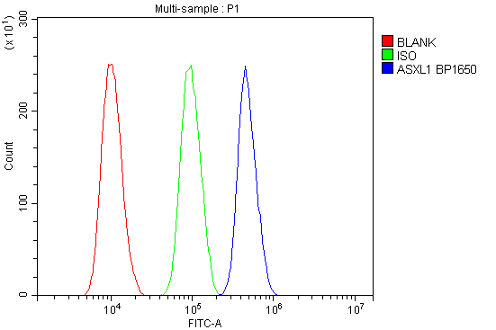 Flow Cytometry analysis of SiHa cells using anti-ASXL1 antibody (A01099-1)