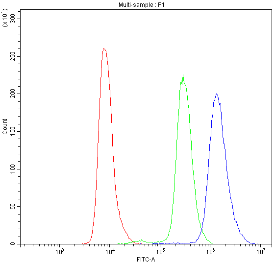 a01111 1 pde4d primary antibodies fc testing 5
