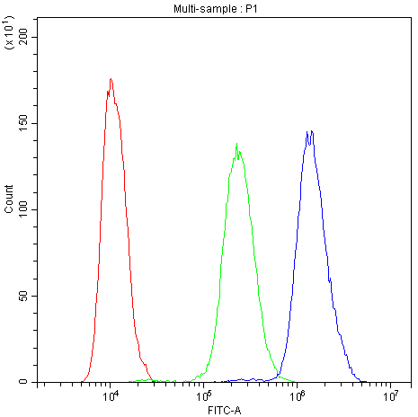 a01111 1 pde4d primary antibodies fc testing 6