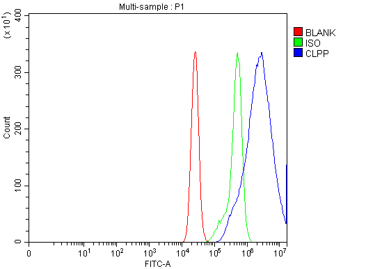  Flow Cytometry analysis of CACO-2 cells using anti-CLPP antibody (A01117-3)