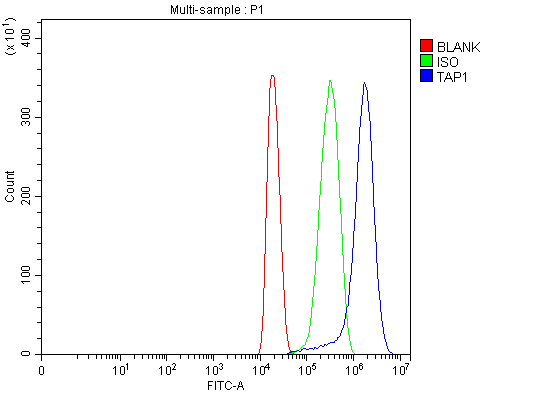  Flow Cytometry analysis of HEPA1-6 cells using anti-Tap1 antibody (A01123-2)