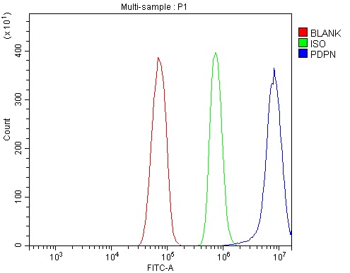 a01124 2 pdpn primary antibodies fcm testing 5