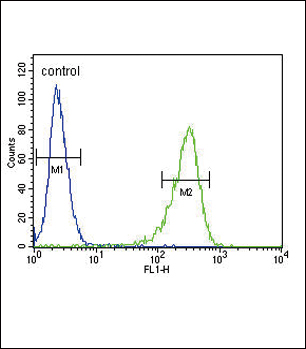 a01126 1 anti oat antibody n term fc testing 5