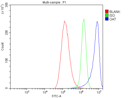 a01126 2 oat primary antibodies fcm testing 5