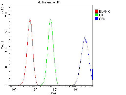 Flow Cytometry analysis of U20S cells using anti-14-3-3 SIGMA antibody (A01127). Overlay histogram showing U20S cells stained with A01127 (Blue line).The cells were blocked with 10% normal goat serum. And then incubated with rabbit anti-14-3-3 SIGMA Antibody (A01127,1μg/1x106 cells) for 30 min at 20°C. DyLight®488 conjugated goat anti-rabbit IgG (BA1127, 5-10μg/1x106 cells) was used as secondary antibody for 30 minutes at 20°C. Isotype control antibody (Green line) was rabbit IgG (1μg/1x106) used under the same conditions. Unlabelled sample (Red line) was also used as a control.
