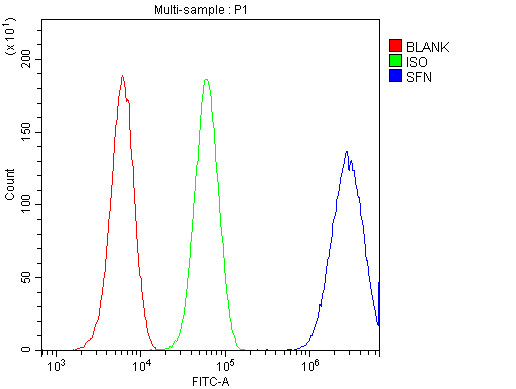 a01127 14 3 3_sigma_ primary antibodies fc testing 5