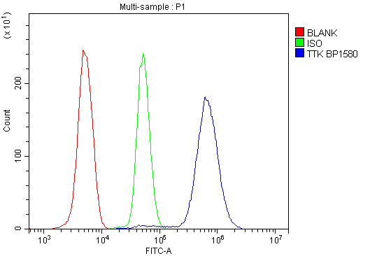 a01132 1 ttk primary antibodies fc testing 5