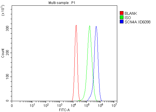 a01138 2 scn4a primary antibodies fcm testing 2