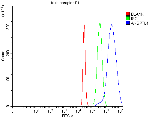  Flow Cytometry analysis of 293T cells using anti-ANGPTL4 antibody (A01147-3)