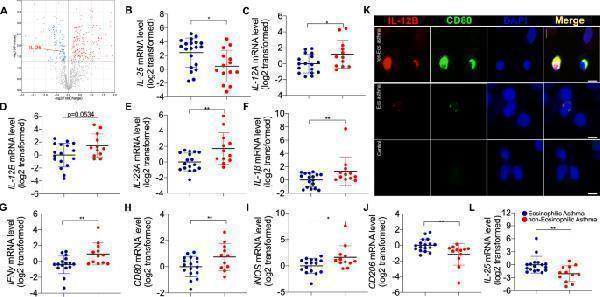 a01152 3 12931_2023_2557_fig6_html