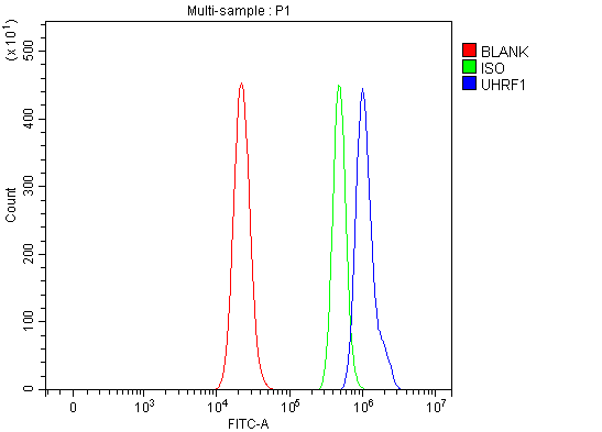  Flow Cytometry analysis of RT4 cells using anti-UHRF1 antibody (A01156-1)