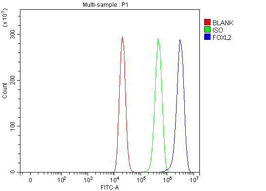 a01185 1 foxl2 primary antibodies fcm testing 4