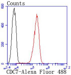 a01190 2 cdc7 primary antiboties fcm testing 2
