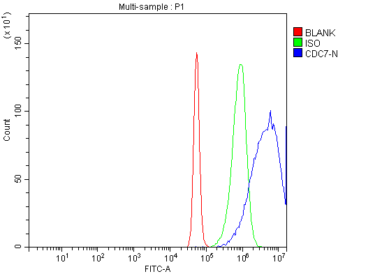 a01190 3 cdc7 primary antibodies fcm testing 2