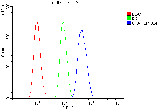 a01192 4 chat primary antibodies fc testing 4