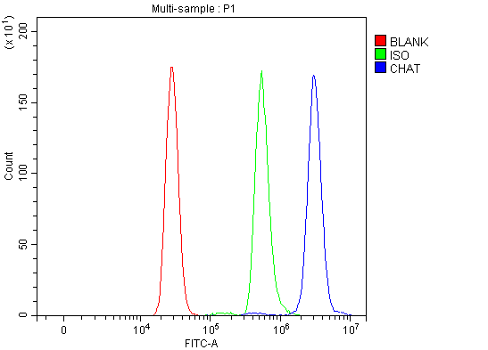  Flow Cytometry analysis of U937 cells using anti-Choline Acetyltransferase/CHAT antibody (A01192-6)