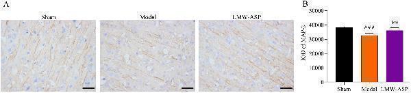 a01201 4 fsn371010 fig 0008 m