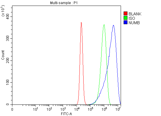  Flow Cytometry analysis of RT4 cells using anti-NUMB antibody (A01206-2)