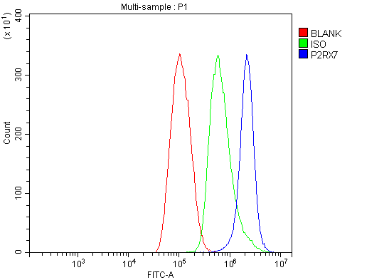 a01208 3 p2rx7 primary antibodies fcm testing 5_1