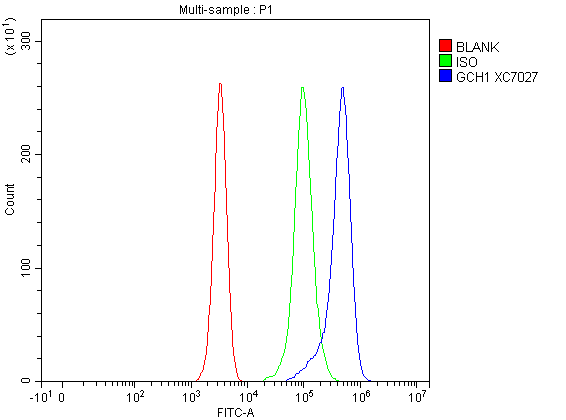 Flow Cytometry analysis of Jurkat cells using anti-GCH1 antibody (A01210-3)