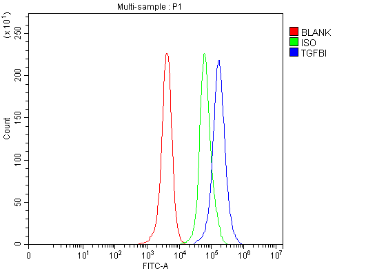a01218 1 tgfbi primary antibodies fcm testing 1