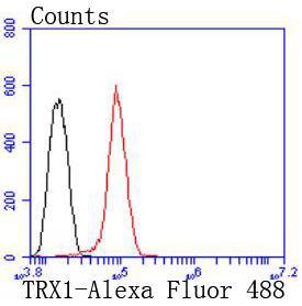 a01219 2 txn primary antiboties fcm testing 2