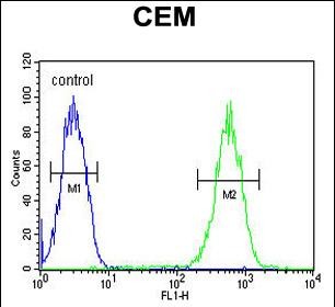 FADS2 Antibody (Center) flow cytometric analysis of CEM cells (right histogram) compared to a negative control (left histogram).FITC-conjugated goat-anti-rabbit secondary antibodies were used for the analysis.
