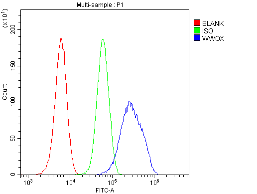 a01223 1 wwox primary antibodies fc testing 7