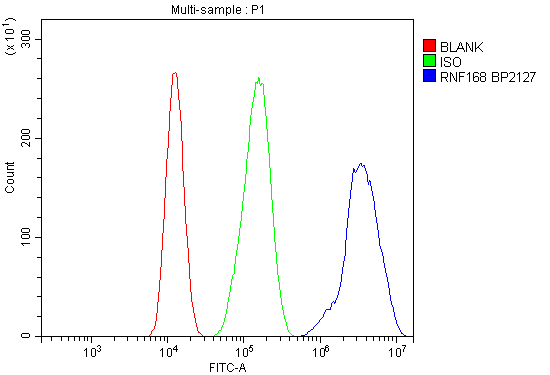 a01224 1 rnf168 primary antibodies fc testing 4
