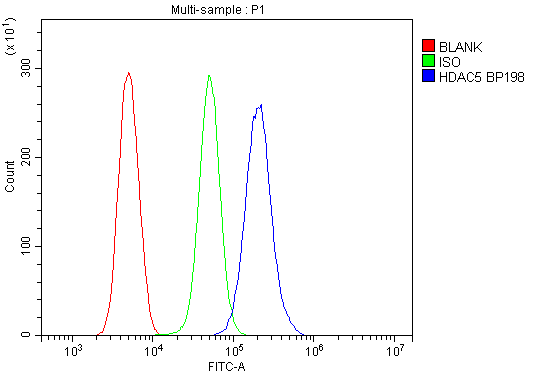 a01230 6 hdac5 primary antibodies fcm testing 10