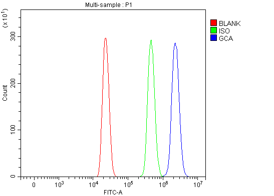a01237 gca primary antibodies fcm testing 6