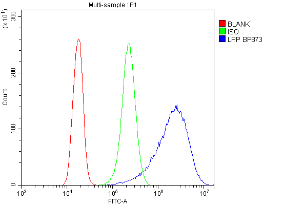 a01240 2 lpp primary antibodies fcm testing 8